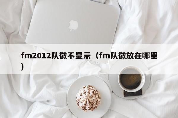 fm2012队徽不显示（fm队徽放在哪里）