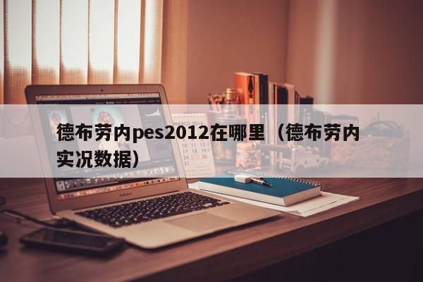 德布劳内pes2012在哪里（德布劳内 实况数据）