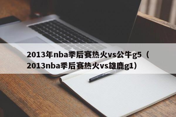 2013年nba季后赛热火vs公牛g5（2013nba季后赛热火vs雄鹿g1）