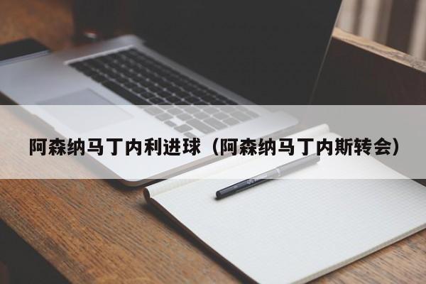 阿森纳马丁内利进球（阿森纳马丁内斯转会）