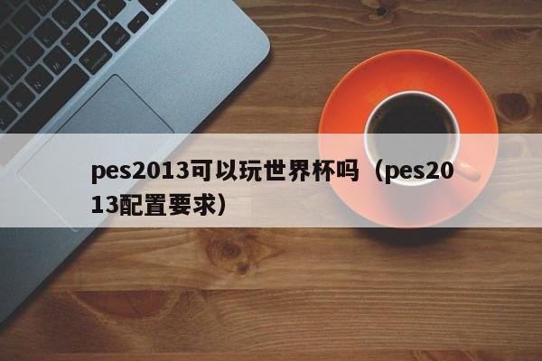 pes2013可以玩世界杯吗（pes2013配置要求）