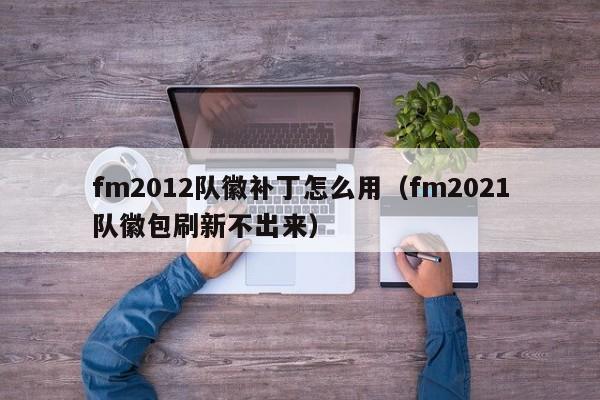 fm2012队徽补丁怎么用（fm2021队徽包刷新不出来）