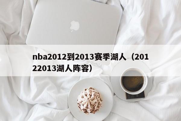 nba2012到2013赛季湖人（20122013湖人阵容）