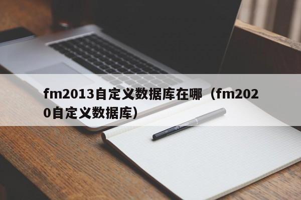 fm2013自定义数据库在哪（fm2020自定义数据库）