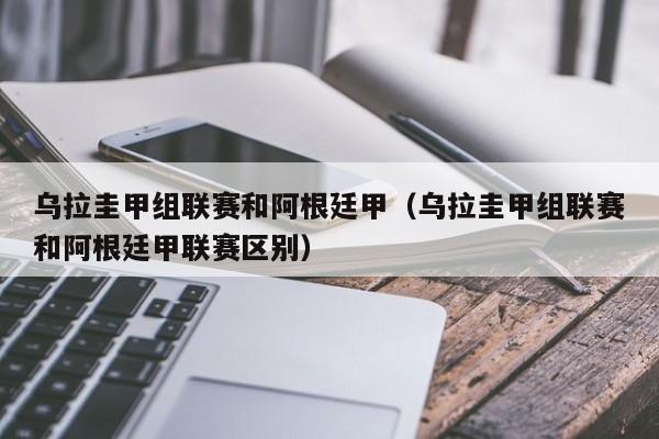 乌拉圭甲组联赛和阿根廷甲（乌拉圭甲组联赛和阿根廷甲联赛区别）