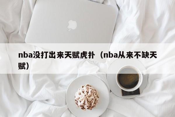 nba没打出来天赋虎扑（nba从来不缺天赋）