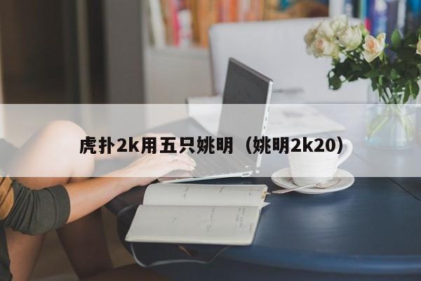 虎扑2k用五只姚明（姚明2k20）