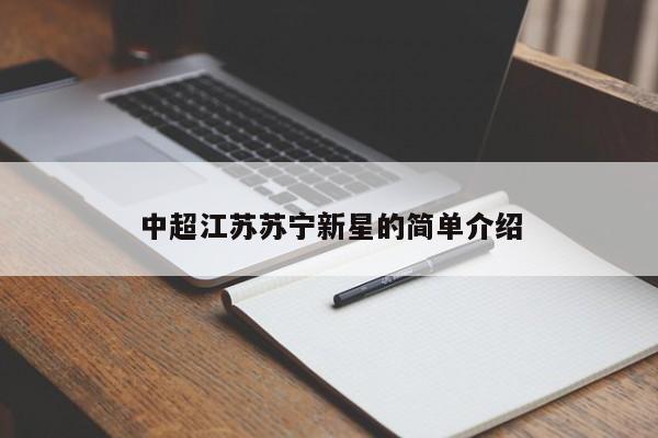 中超江苏苏宁新星的简单介绍