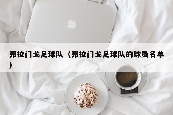 弗拉门戈足球队（弗拉门戈足球队的球员名单）