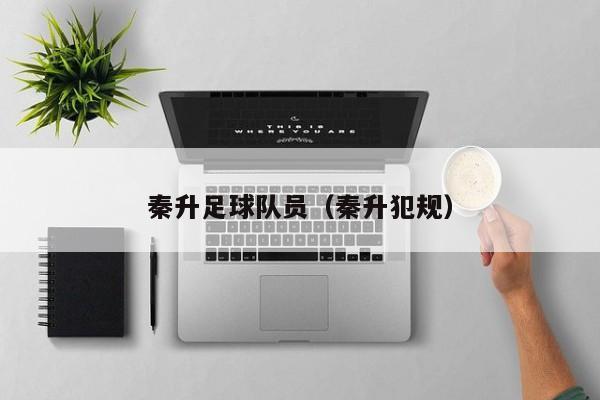 秦升足球队员（秦升犯规）