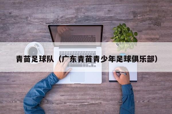 青苗足球队（广东青苗青少年足球俱乐部）