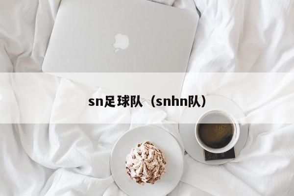 sn足球队（snhn队）