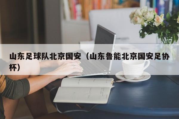 山东足球队北京国安（山东鲁能北京国安足协杯）