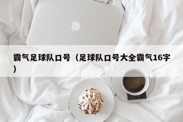 霸气足球队口号（足球队口号大全霸气16字）