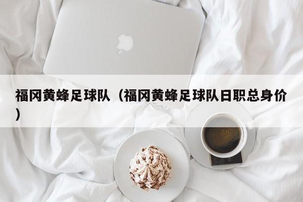 福冈黄蜂足球队（福冈黄蜂足球队日职总身价）
