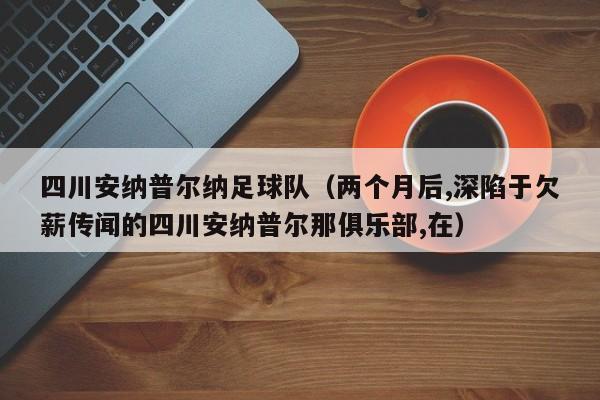 四川安纳普尔纳足球队（两个月后,深陷于欠薪传闻的四川安纳普尔那俱乐部,在）