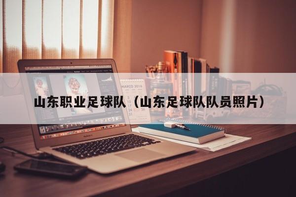山东职业足球队（山东足球队队员照片）