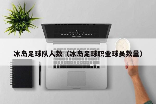 冰岛足球队人数（冰岛足球职业球员数量）
