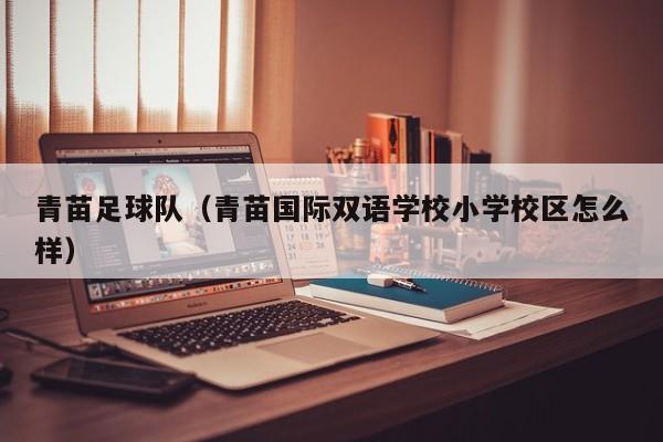 青苗足球队（青苗国际双语学校小学校区怎么样）