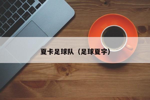 夏卡足球队（足球夏宇）