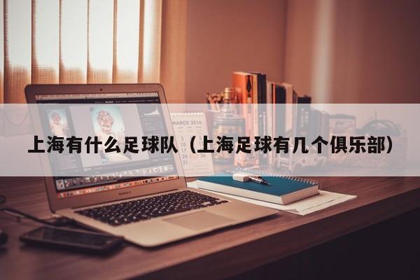 上海有什么足球队（上海足球有几个俱乐部）