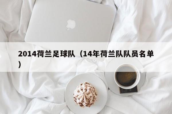2014荷兰足球队（14年荷兰队队员名单）
