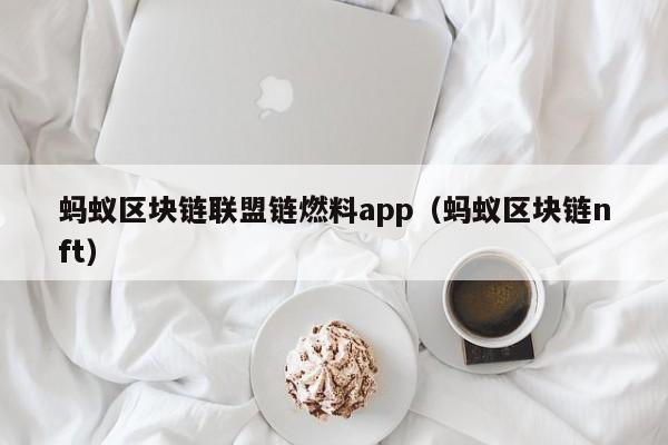 蚂蚁区块链联盟链燃料app（蚂蚁区块链nft）
