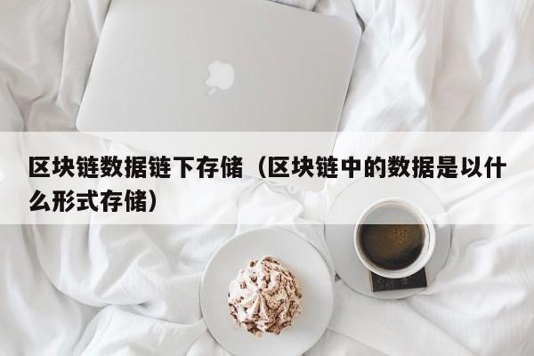 区块链数据链下存储（区块链中的数据是以什么形式存储）
