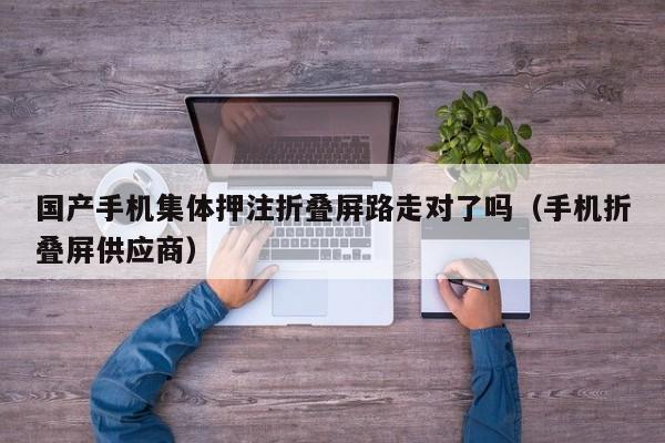 国产手机集体押注折叠屏路走对了吗（手机折叠屏供应商）