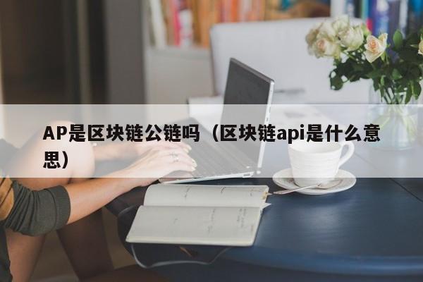 AP是区块链公链吗（区块链api是什么意思）