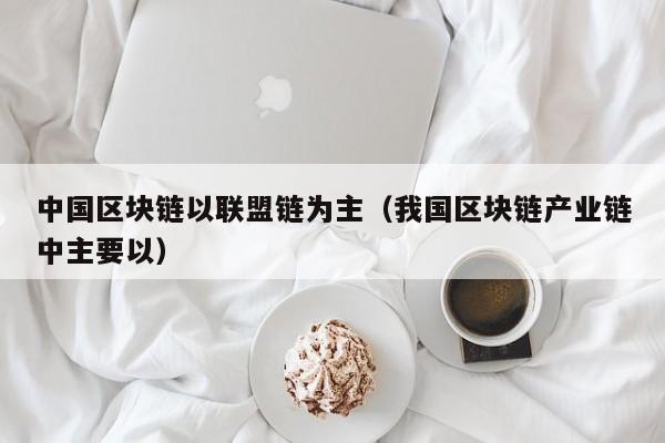 中国区块链以联盟链为主（我国区块链产业链中主要以）