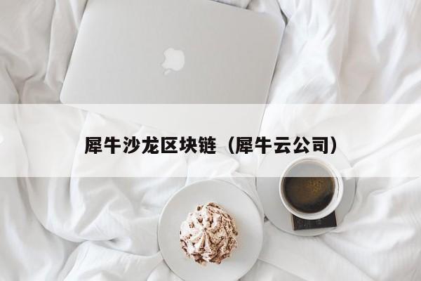 犀牛沙龙区块链（犀牛云公司）