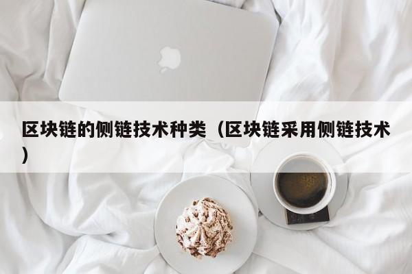 区块链的侧链技术种类（区块链采用侧链技术）