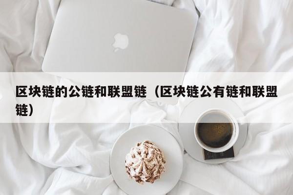 区块链的公链和联盟链（区块链公有链和联盟链）