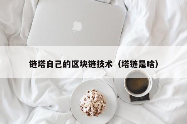链塔自己的区块链技术（塔链是啥）