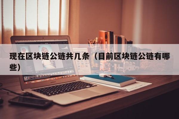现在区块链公链共几条（目前区块链公链有哪些）