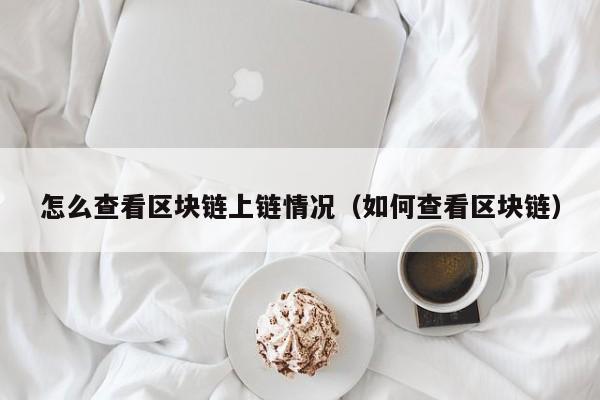 怎么查看区块链上链情况（如何查看区块链）