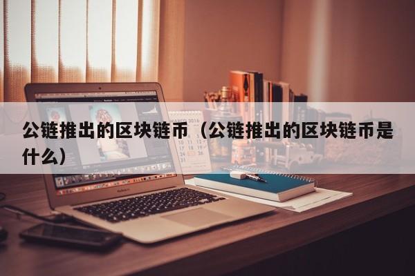 公链推出的区块链币（公链推出的区块链币是什么）