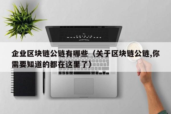 企业区块链公链有哪些（关于区块链公链,你需要知道的都在这里了）